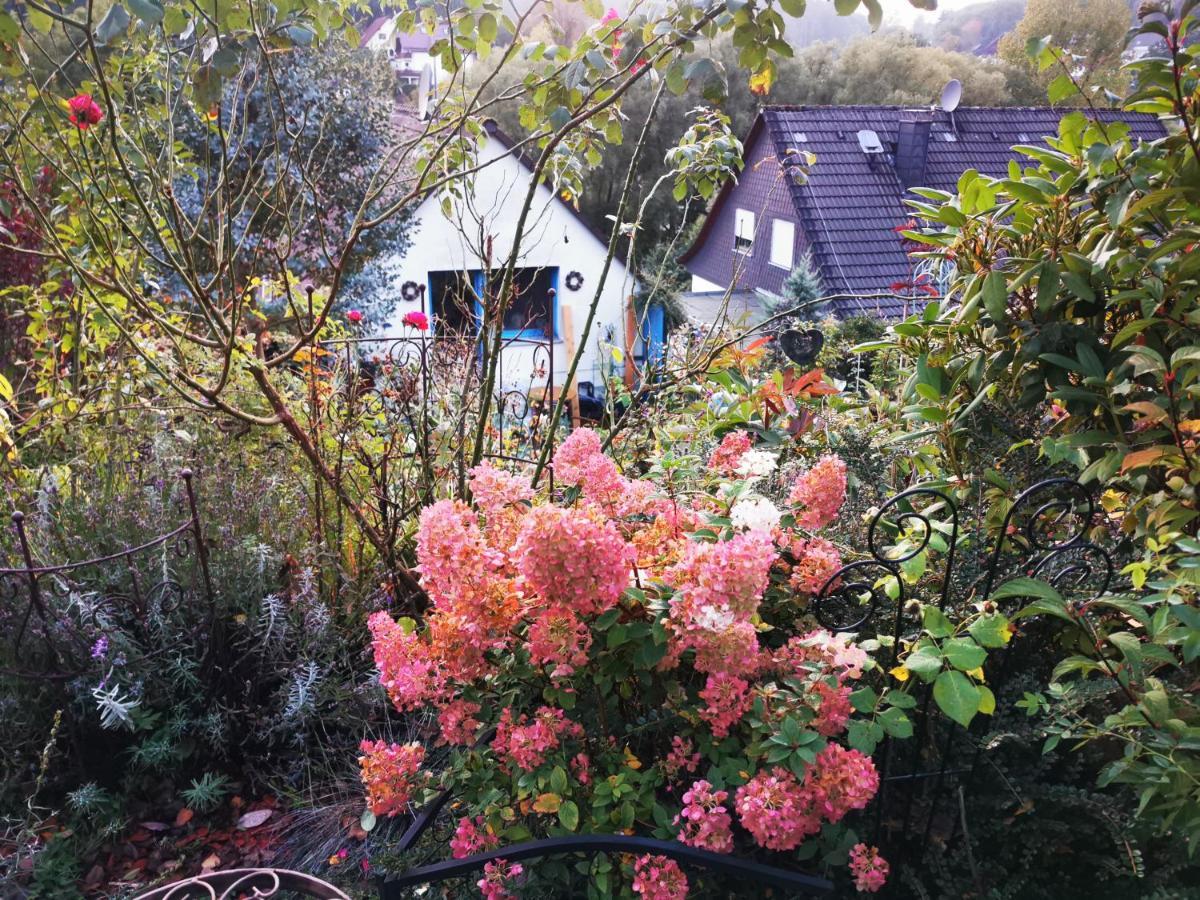 Ferienhaus Mit Riesen Garten, Drei Terrassen, Toller Aussicht Am Waldrand, Auch Als Monteur-Wohnung Hemer Екстериор снимка
